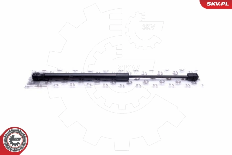 Gas Spring, boot/cargo area